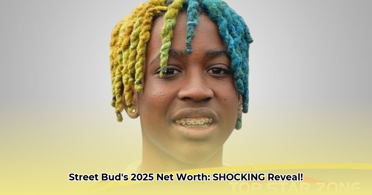 street-bud-net-worth